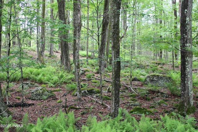 LOT2219 Hemlock Ter N, Greentown, PA 18426 - photo 2