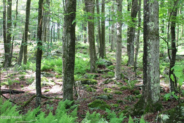 LOT2219 Hemlock Ter N, Greentown, PA 18426 - photo 6