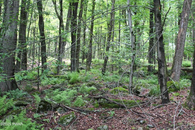 LOT2219 Hemlock Ter N, Greentown, PA 18426 - photo 4