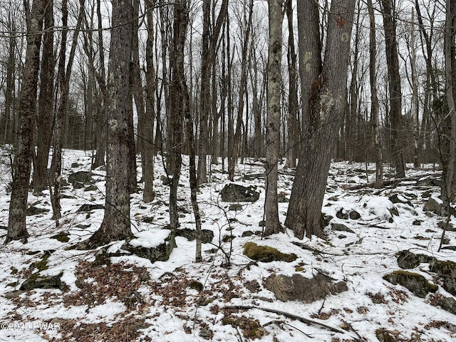 LOT2219 Hemlock Ter N, Greentown, PA 18426
