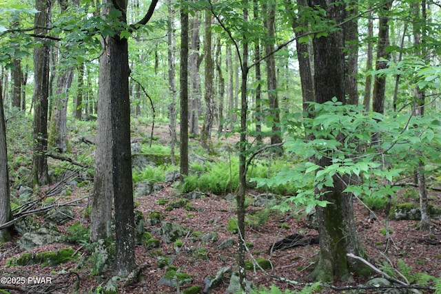 LOT2219 Hemlock Ter N, Greentown, PA 18426 - photo 1