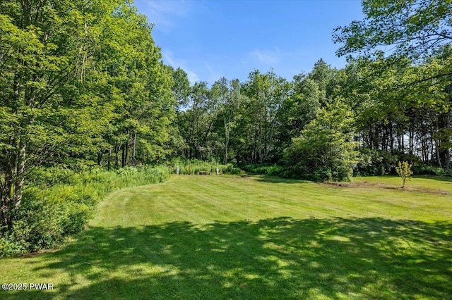 144 Crosstown Hwy, Union Dale, PA 18470 - photo 66