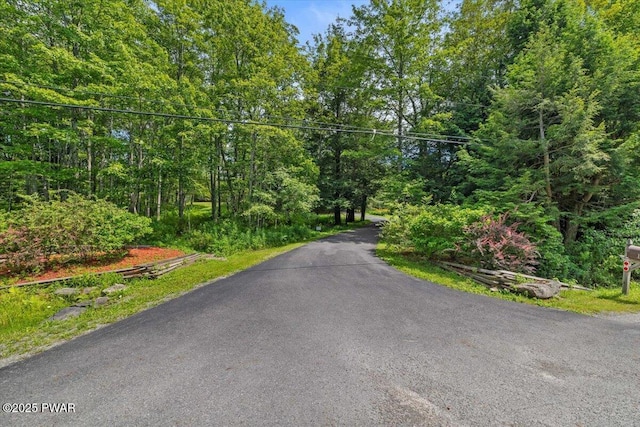 144 Crosstown Hwy, Union Dale, PA 18470 - photo 2