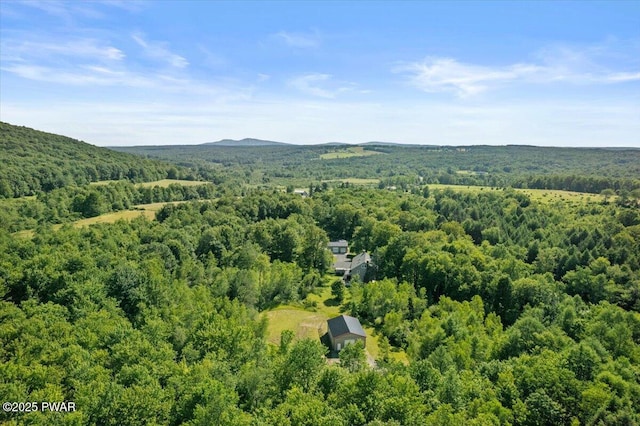144 Crosstown Hwy, Union Dale, PA 18470 - photo 75