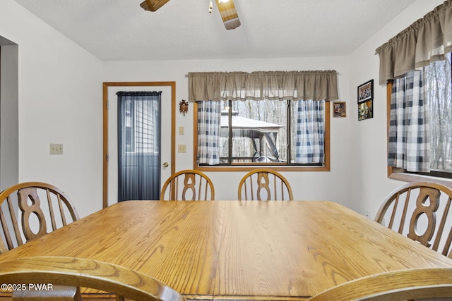 104 Rockway Rd, Lake Ariel, PA 18436 - dining area with ceiling fan and a textured ceiling
