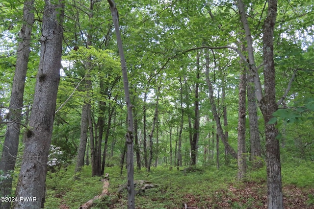 Listing photo 3 for LOT5733 Philwood Ln, Milford PA 18337