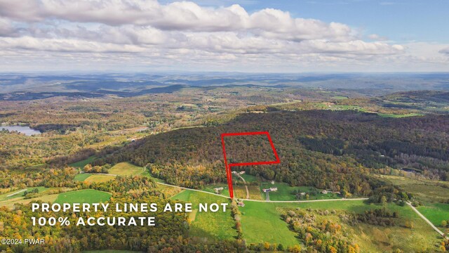 330 Wescott Rd, Tyler Hill, PA 18469 - photo 6