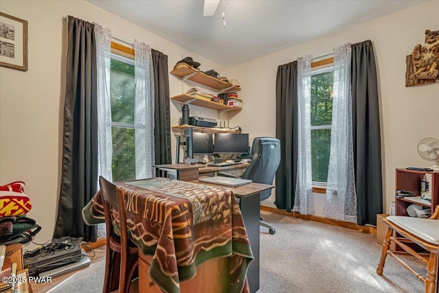 111 Sun Valley Dr, Tafton, PA 18464 - office space featuring plenty of natural light, light colored carpet, and ceiling fan