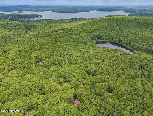 111 Sun Valley Dr, Tafton, PA 18464 - bird's eye view of a heavily wooded area and a large body of water
