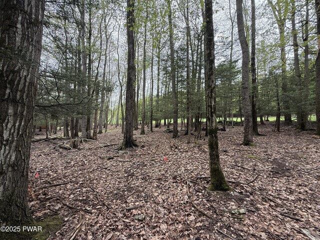 N Evergreen Dr, Greentown, PA 18426