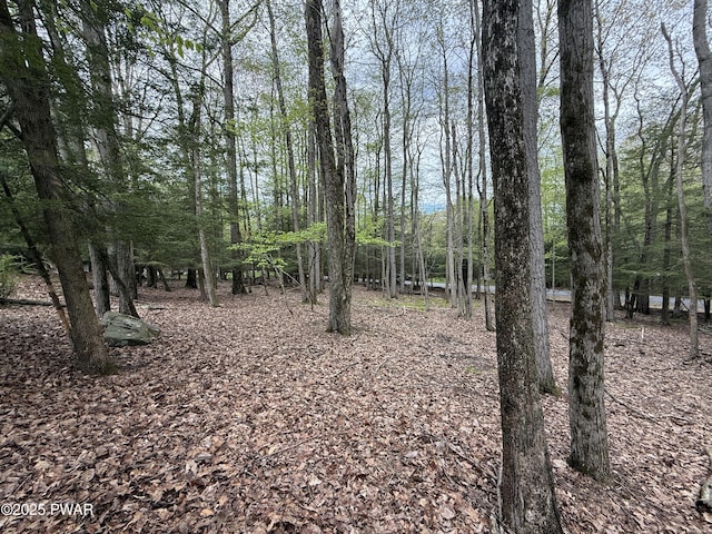 N Evergreen Dr, Greentown, PA 18426