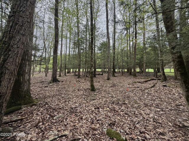 N Evergreen Dr, Greentown, PA 18426