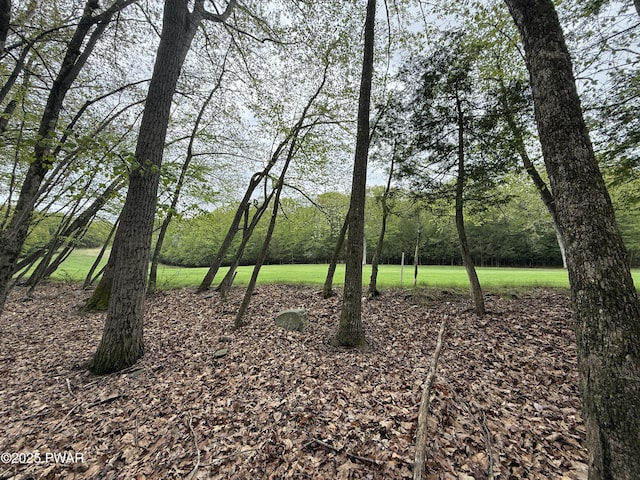 N Evergreen Dr, Greentown, PA 18426