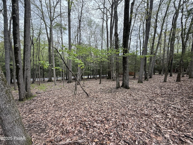 N Evergreen Dr, Greentown, PA 18426
