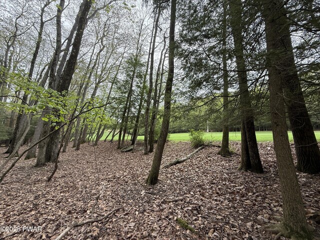N Evergreen Dr, Greentown, PA 18426