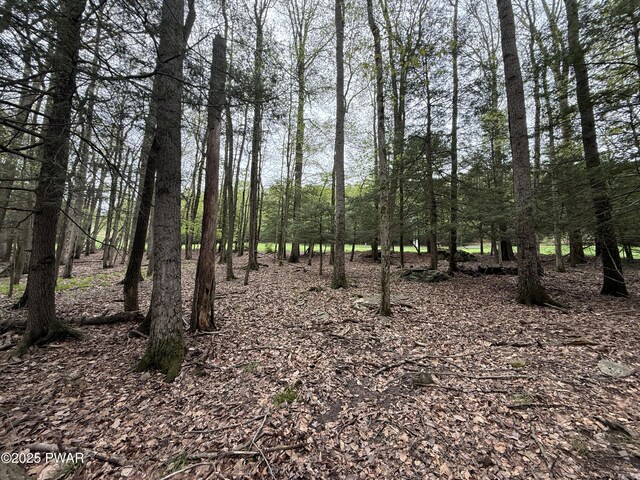 N Evergreen Dr, Greentown, PA 18426