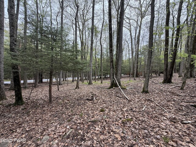 N Evergreen Dr, Greentown, PA 18426