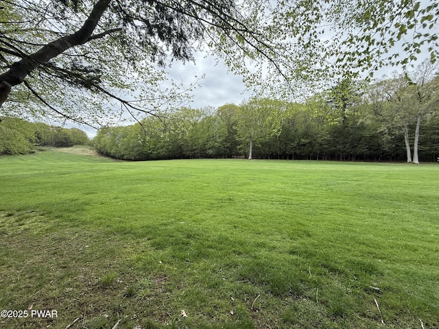 N Evergreen Dr, Greentown, PA 18426