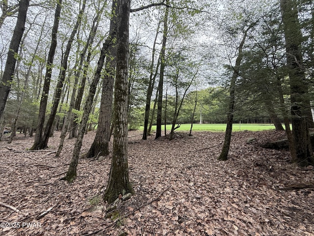N Evergreen Dr, Greentown, PA 18426