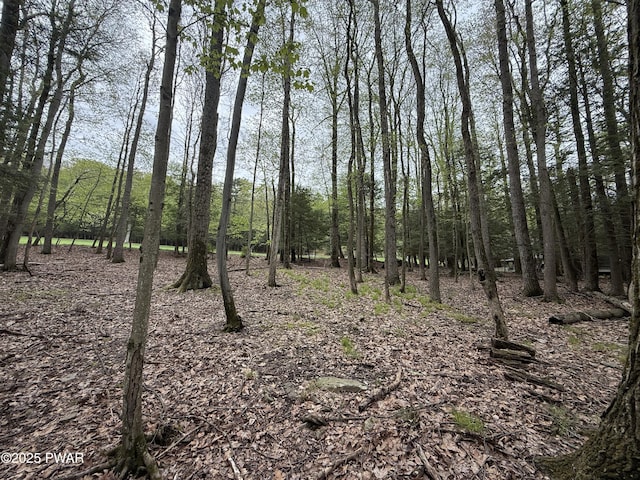 N Evergreen Dr, Greentown, PA 18426