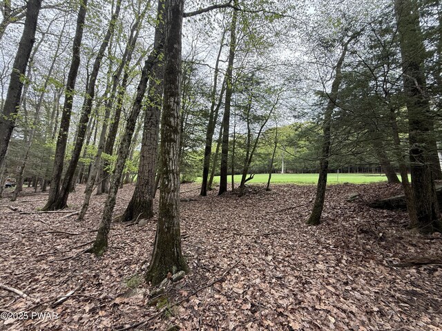 N Evergreen Dr, Greentown, PA 18426