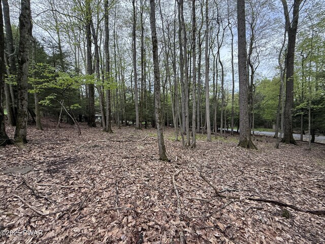 N Evergreen Dr, Greentown, PA 18426