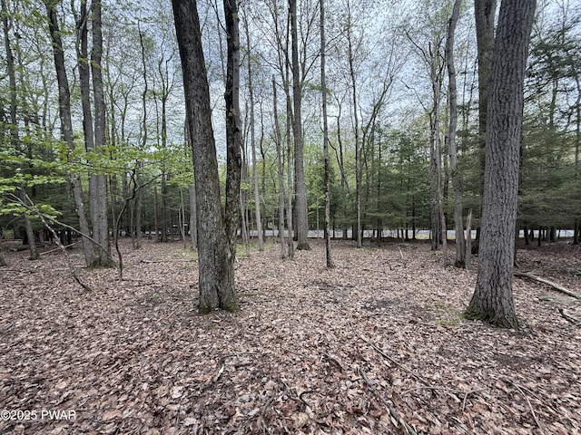 N Evergreen Dr, Greentown, PA 18426