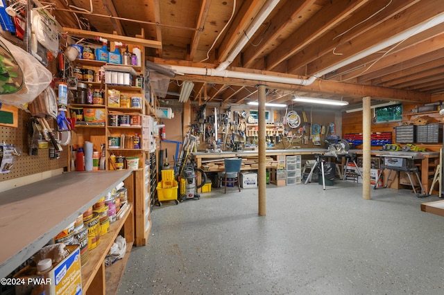 basement featuring a workshop area