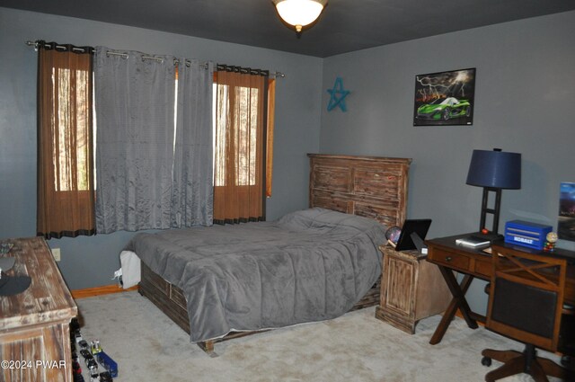 bedroom featuring carpet flooring and multiple windows