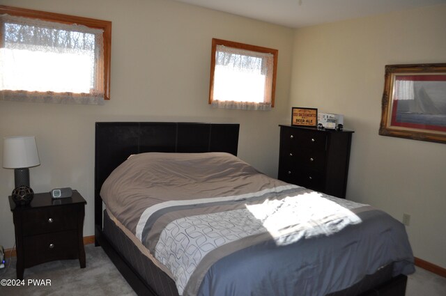 carpeted bedroom with a closet