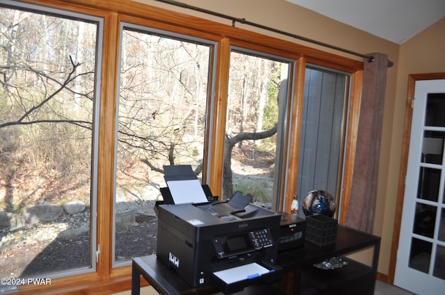 office featuring a wealth of natural light and vaulted ceiling