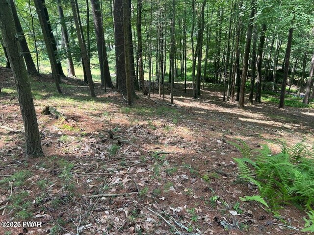 LOT23 Circle Dr, Hawley, PA 18428