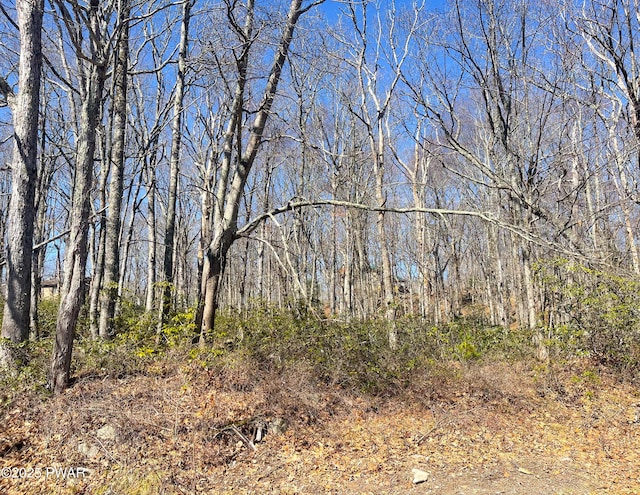 212 Comstock Dr, Lords Valley, PA 18428