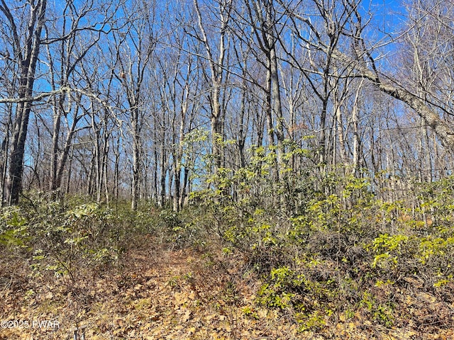 212 Comstock Dr, Lords Valley, PA 18428