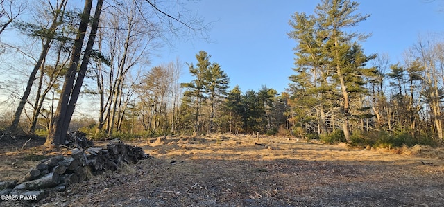 Listing photo 2 for LOT16.1 Beaverbrook Rd, Narrowsburg, Ny NY 12764