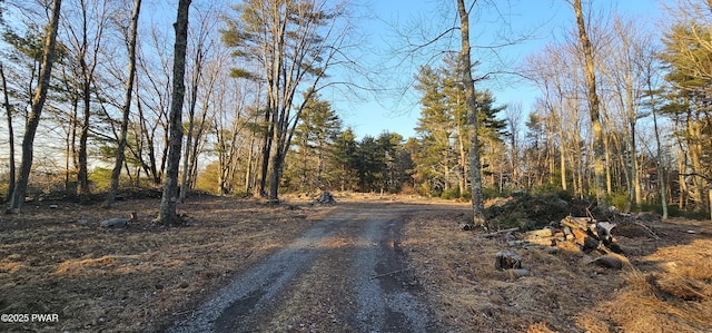 LOT16.1 Beaverbrook Rd, Narrowsburg, Ny NY, 12764 land for sale