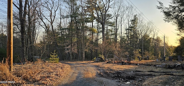 Listing photo 3 for LOT16.1 Beaverbrook Rd, Narrowsburg, Ny NY 12764