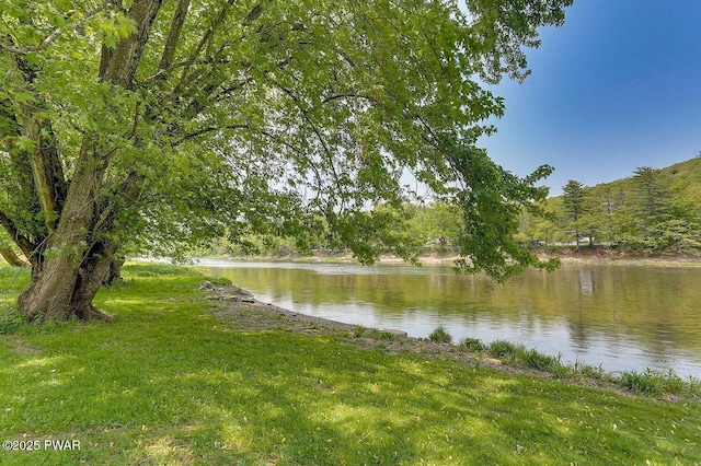 33 Syloro Ln, Damascus, PA 18415 - water view featuring a forest