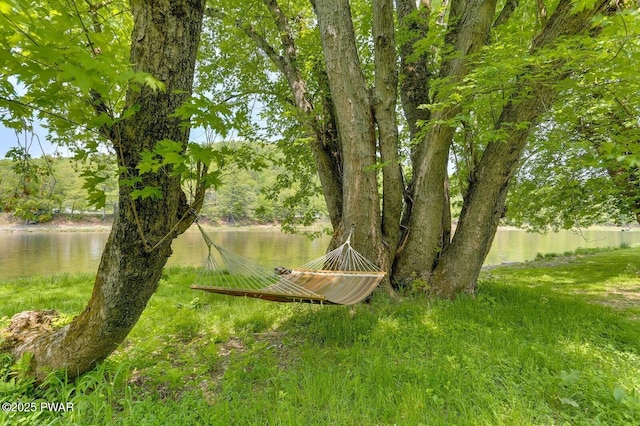 33 Syloro Ln, Damascus, PA 18415 - view of yard featuring a water view