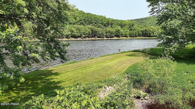 33 Syloro Ln, Damascus, PA 18415 - water view with a heavily wooded area
