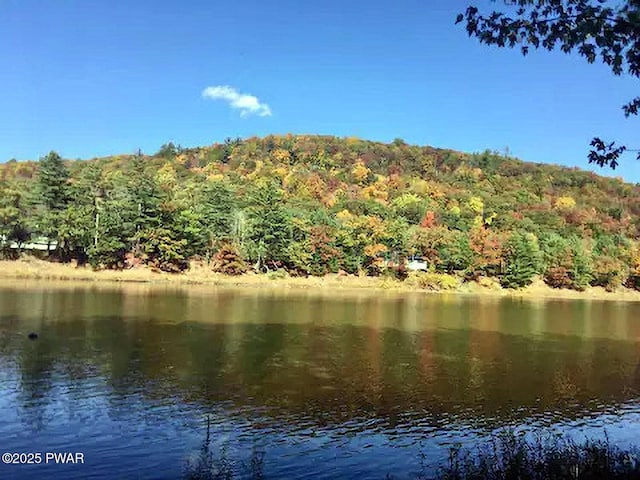 33 Syloro Ln, Damascus, PA 18415 - water view with a forest