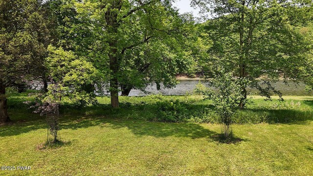 33 Syloro Ln, Damascus, PA 18415 - view of green lawn with a water view