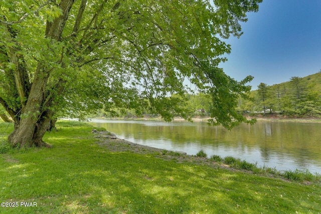 33 Syloro Ln, Damascus, PA 18415 - water view with a forest