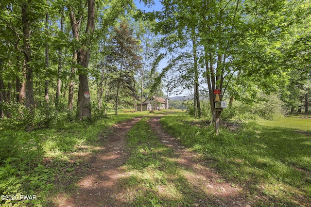 18 Tammany Flts, Damascus, PA 18415 - view of yard