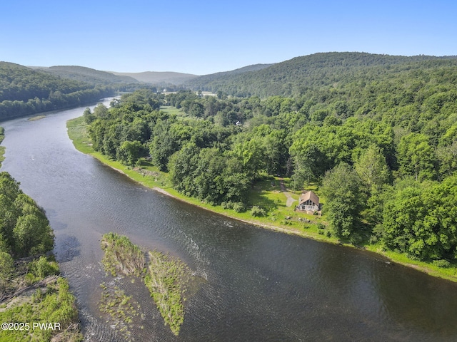 18 Tammany Flts, Damascus, PA 18415 - aerial view of a heavily wooded area and a water and mountain view