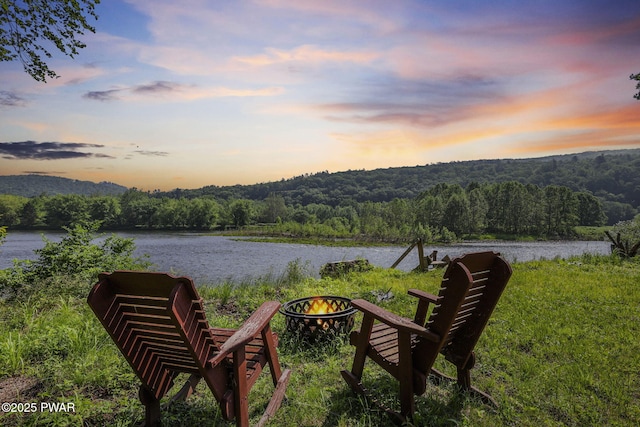18 Tammany Flts, Damascus, PA 18415 - water view with a fire pit and a forest