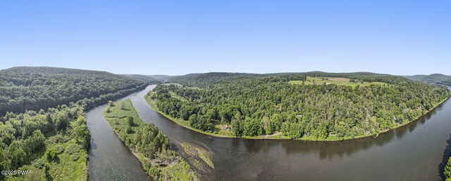 18 Tammany Flts, Damascus, PA 18415 - drone / aerial view of a forest and a nearby body of water