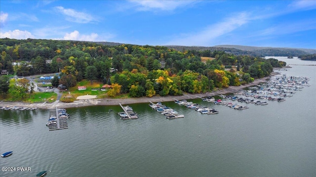 bird's eye view with a water view