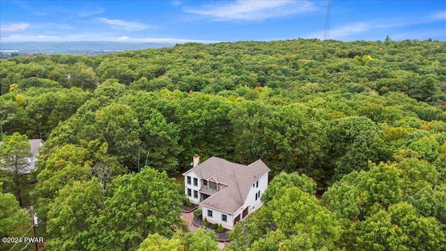 drone / aerial view