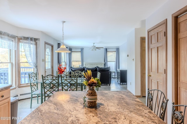 dining room with plenty of natural light